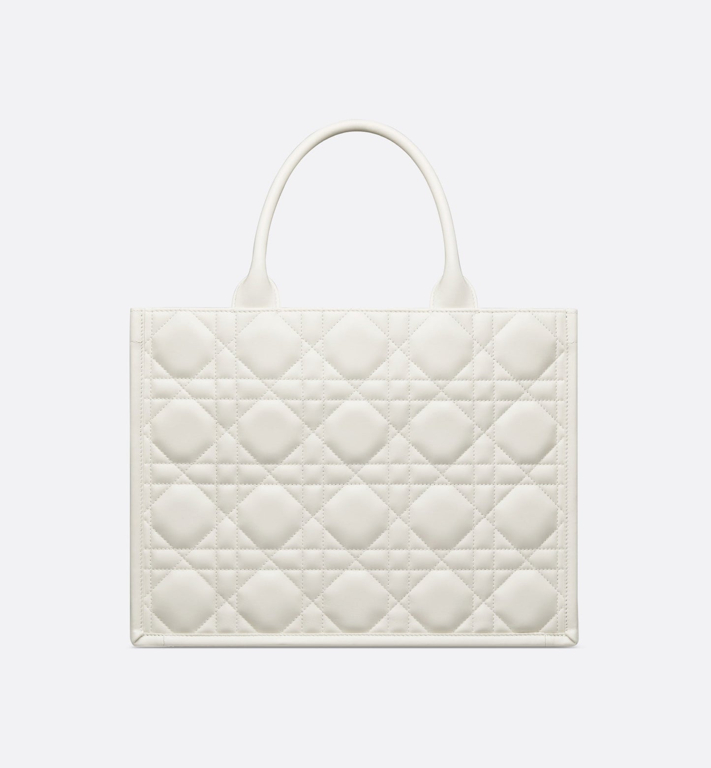 Dior Book Tote media
