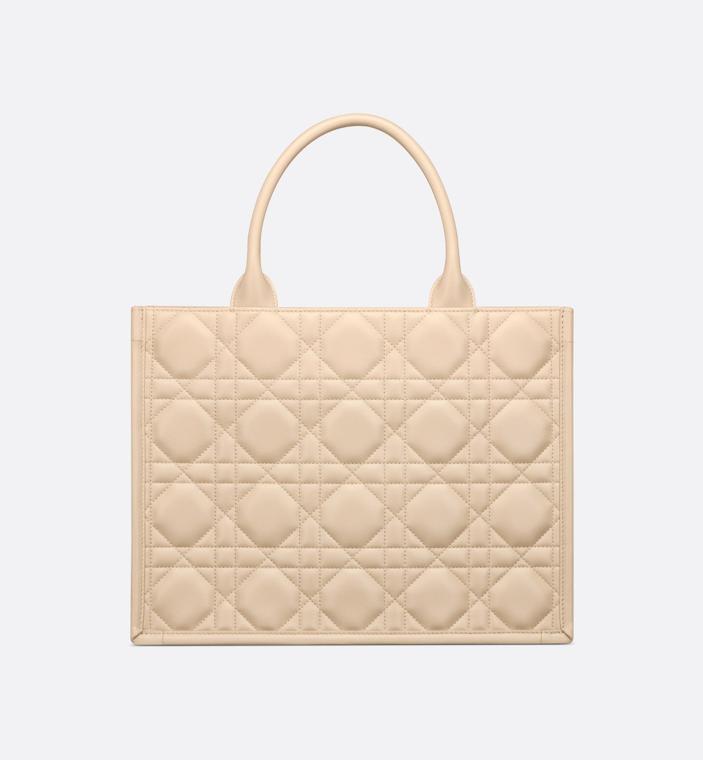 Dior Book Tote media