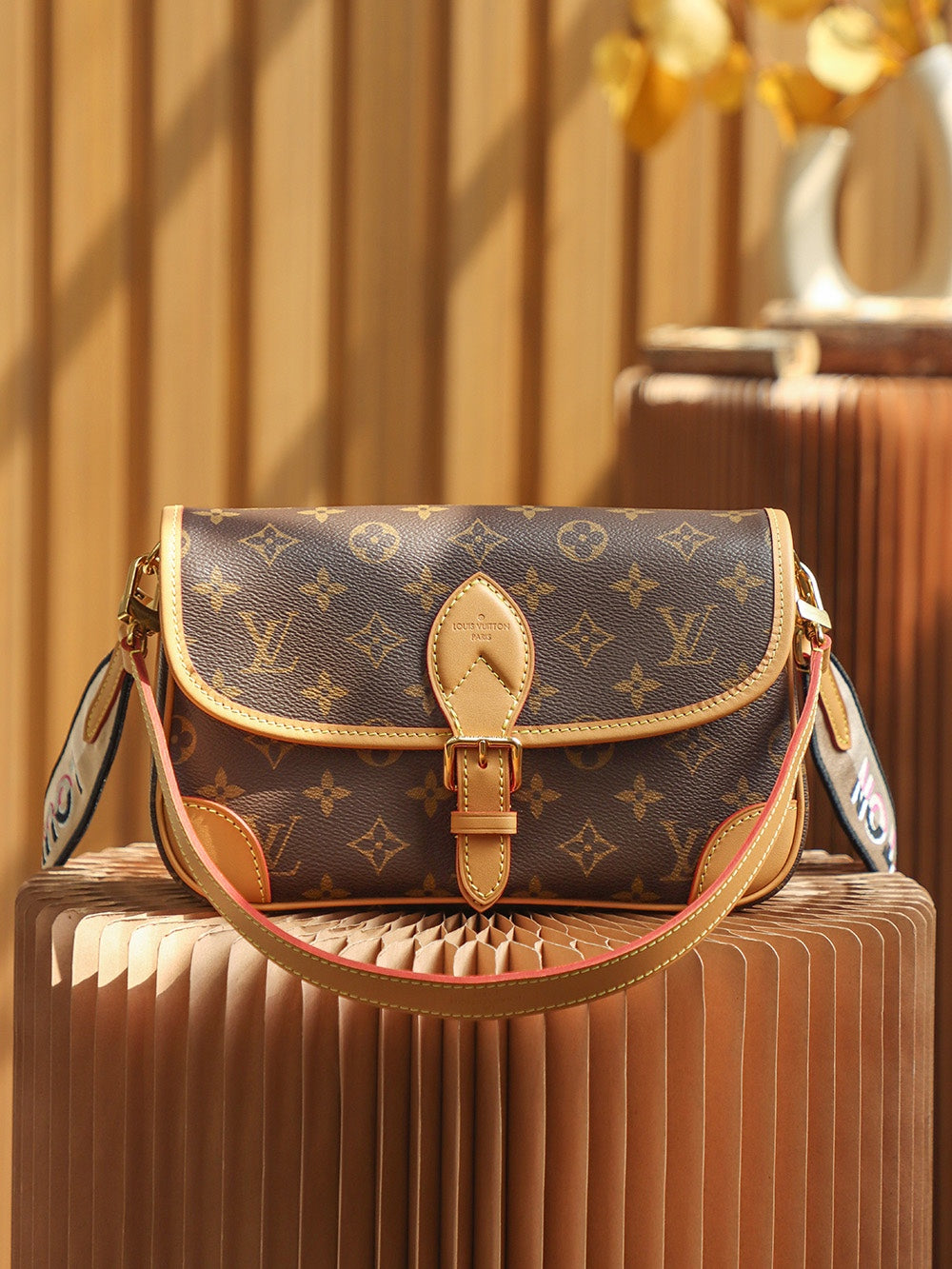 Louis Vuitton Bag