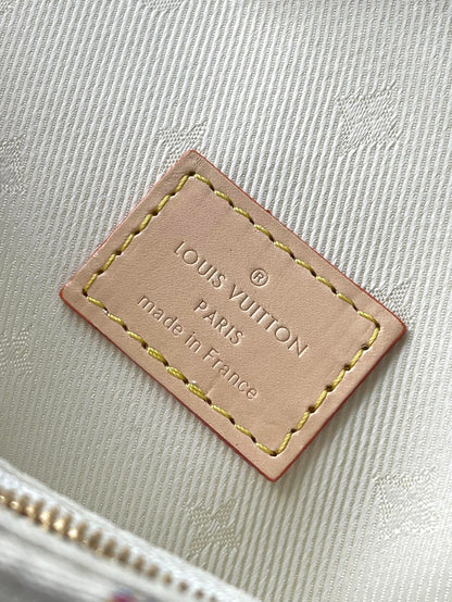 Vuitton Bag
