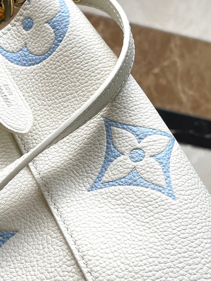 Vuitton Bag