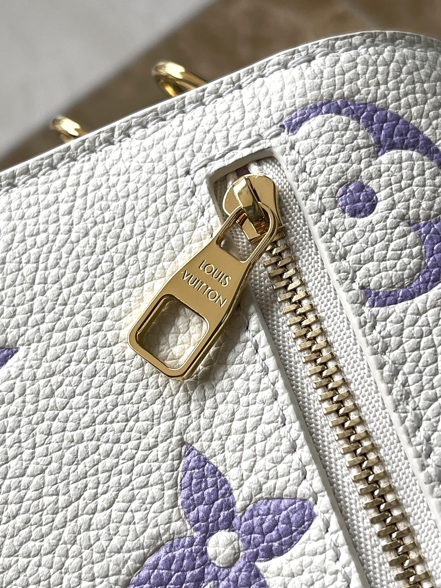 Louis Vuitton Bag