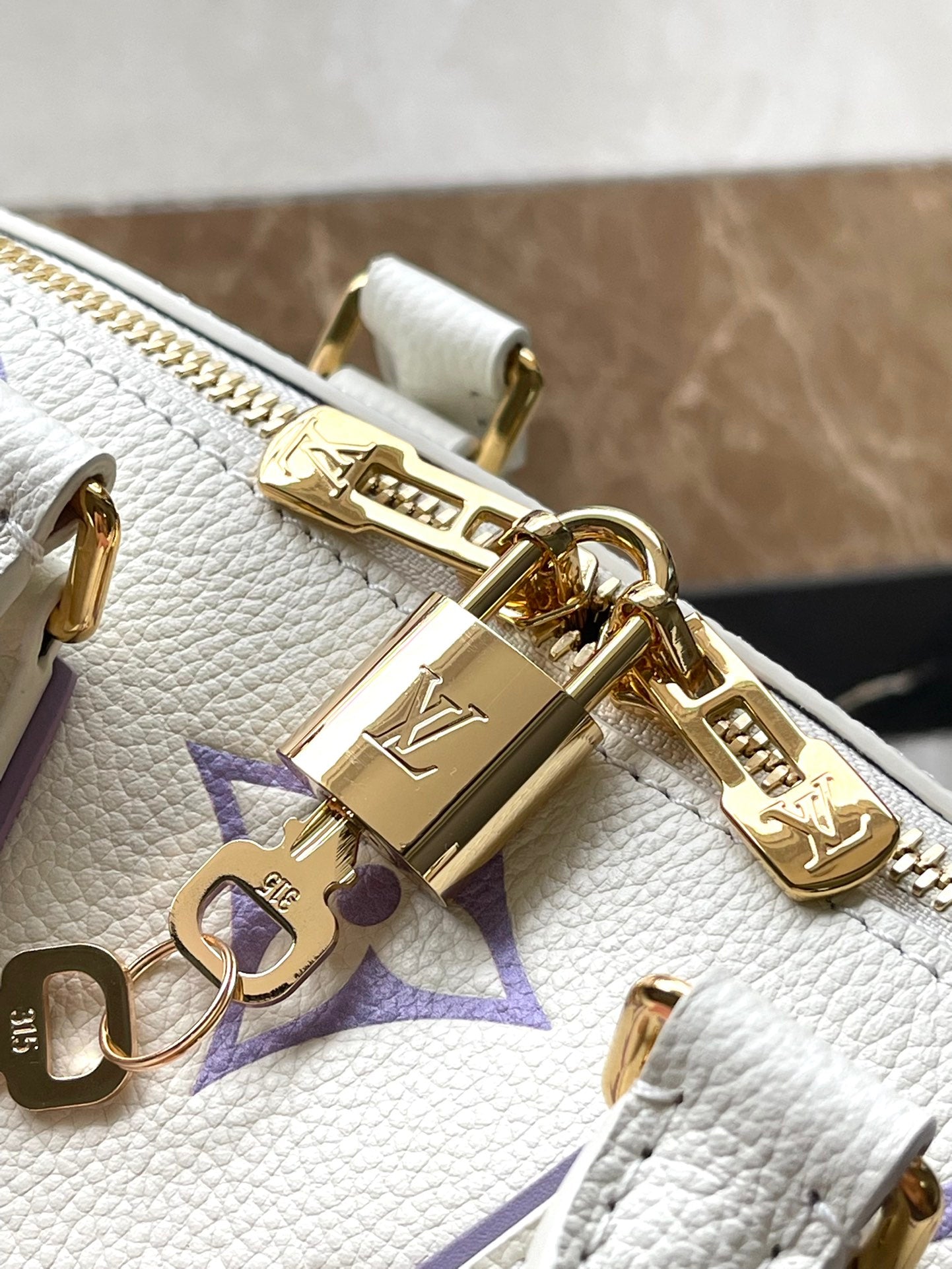 Louis Vuitton bag
