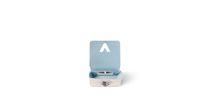 Bag Louis vuitton