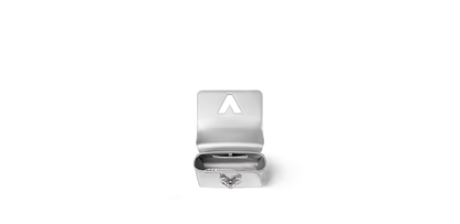 Bag Louis vuitton